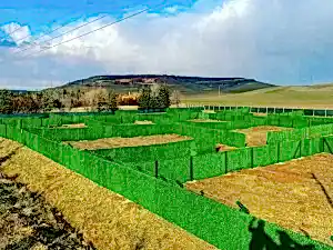 Ankara Çim Çit